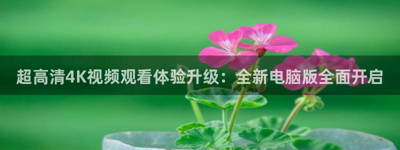 玩球直播在线观看免费观看